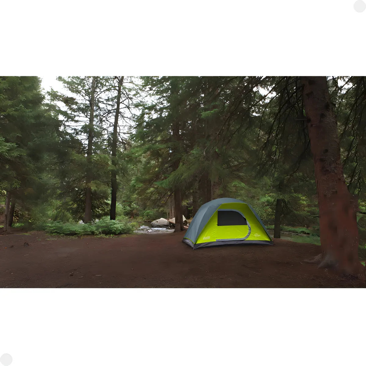 Tienda De Campaña Coleman Amazonia Para 6 Personas