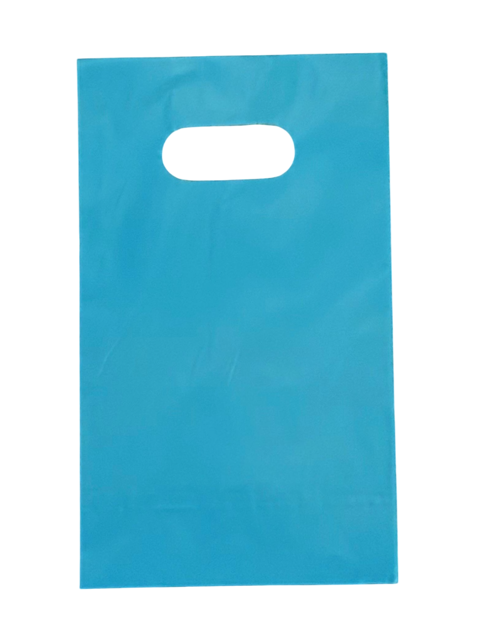 Bolsa boutique 30x40 cm Pack De 100 Unidades celeste – DeltaBuy